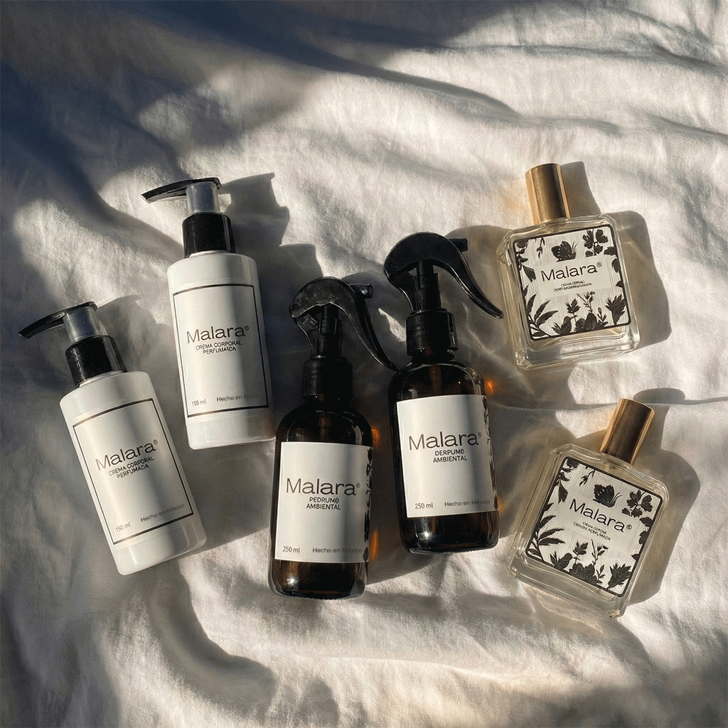 Silver Peak (KIT DOBLE 6 en 1) — Inspirado en Silver Mountain Water de Creed