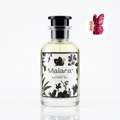 Addiction Pack | 4 Perfumes 100ml