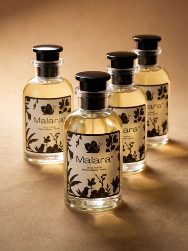 Addiction Pack | 4 Perfumes 100ml