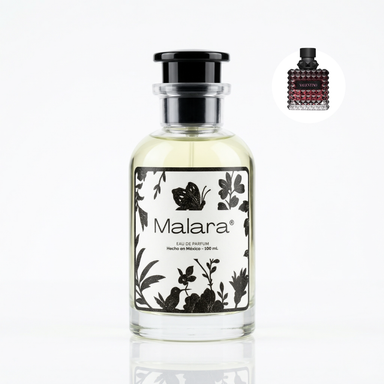 Glam Pack | 4 Perfumes 100ml