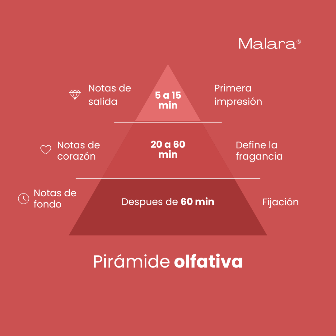 Quick Crush (KIT 3 en 1) — Inspirado en Instant Crush de Mancera