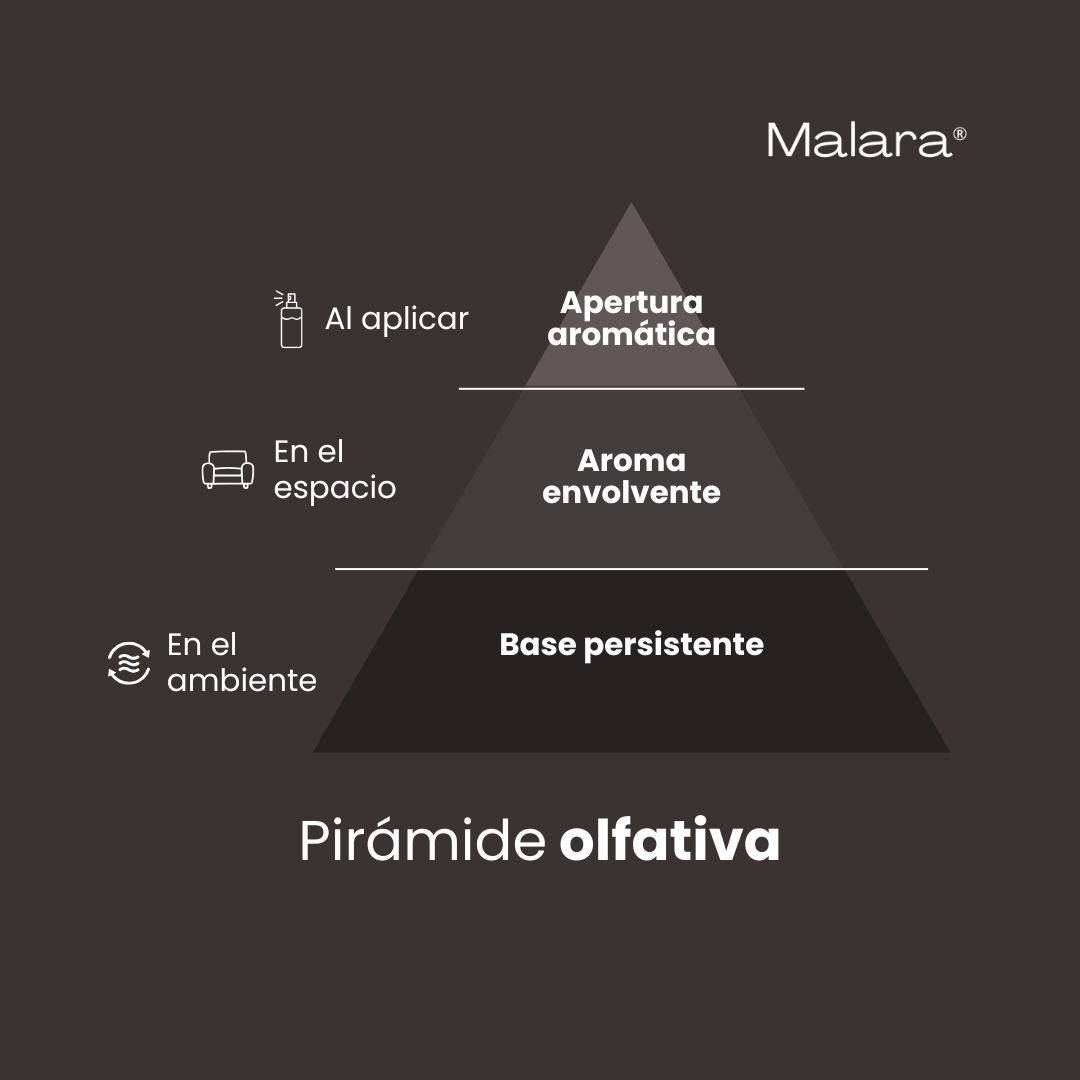 Summit King (KIT 3 en 1) — Inspirado en Aventus For Him de Creed