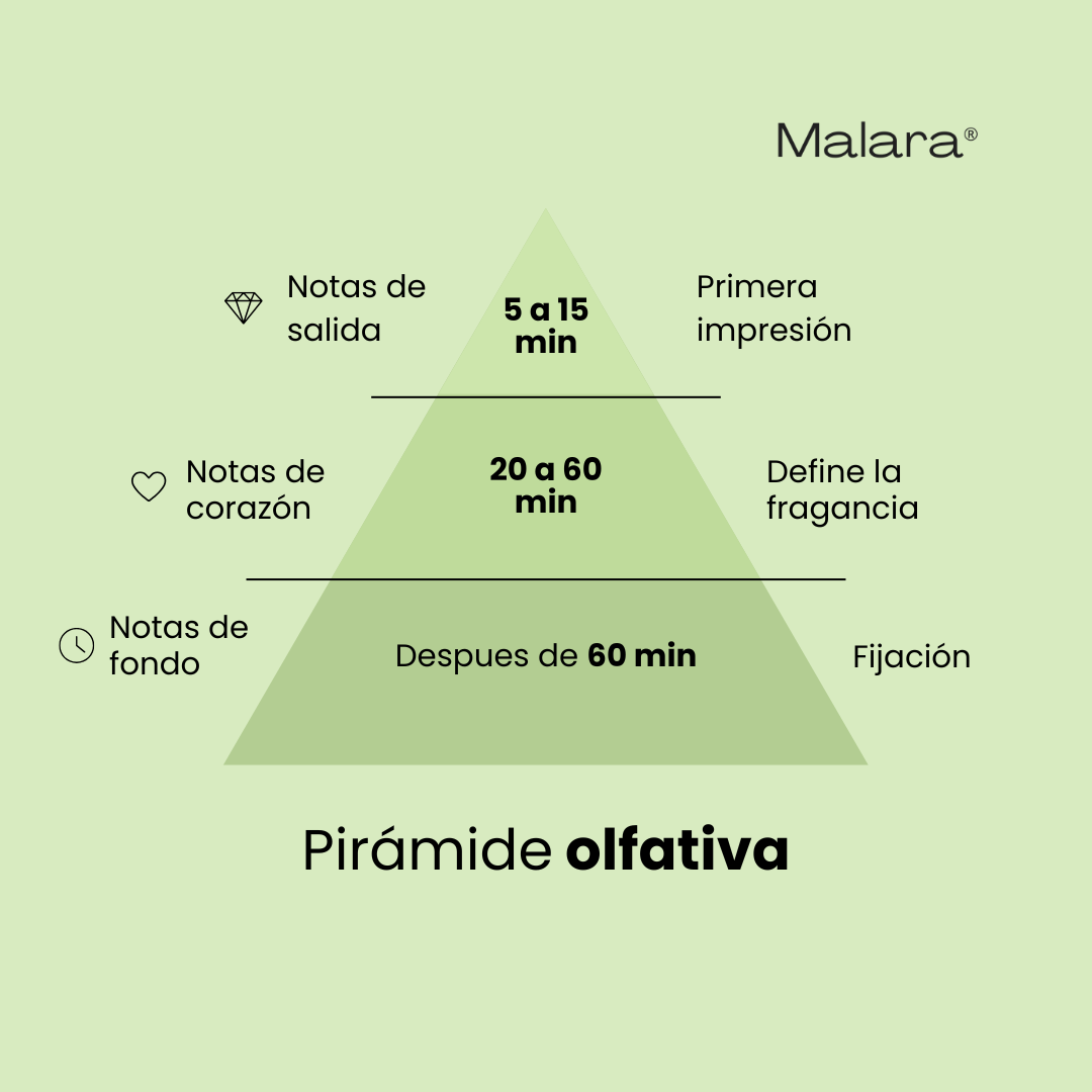 True Aura (KIT DOBLE 6 en 1) — Inspirado en Rare de Rare Beauty