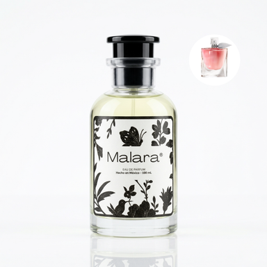 Addiction Pack | 4 Perfumes 100ml
