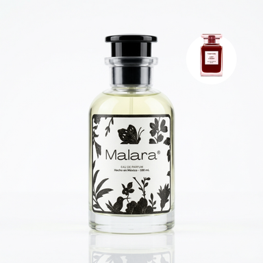 Addiction Pack | 4 Perfumes 100ml