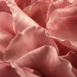 Florales